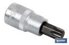 Soquetes ponta Torx 1/4" - Cofan