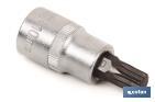 Steckschlüssel Torx-Spitze 3/8" - Cofan