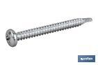 Self-drilling screw, cylindrical head, Phillips, zinc plated - Cofan