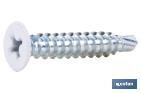 Self-drilling screw, extra flat head, Phillips, white - Cofan