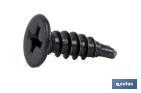 Self-drilling screw, extra flat head, Phillips, black - Cofan