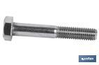 Hexagonal screw partial thread zinc plated - Cofan