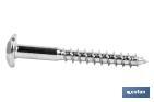 Vis inviolable Torx-30 - Cofan