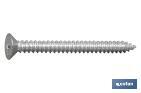 PHILLIPS CROSS RECESSED COUNTERSUNK HEAD SELF TAPPING SCREW, ZINC PLATED