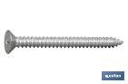 PHILLIPS CROSS RECESSED COUNTERSUNK HEAD SELF TAPPING SCREW, ZINC PLATED