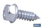 Hexagon washer head tapping screw, zinc plated - Cofan