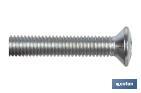 Screw DIN 966 Zinc plated - Cofan