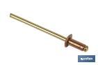 Rivets cuivre - bronze - Cofan