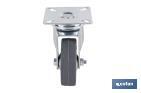 Roulette en caoutchouc gris avec plaque tournante | Diamètres de 30 à 75 mm | Pour des poids de 25 kg jusqu'à 45 kg - Cofan