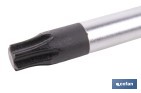 Destornillador Torx DIN 50150 modelo GripForce - Cofan