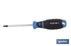 Destornillador Robertson R2 × 100 mm modelo Gripforce | Punta magnética y mango antideslizante - Cofan