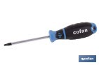 Destornillador Robertson R2 × 100 mm modelo Gripforce | Punta magnética y mango antideslizante - Cofan