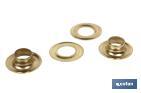 Kit of 12 eyelets | Available diameters in 10-12mm | Suitable for assemblies - Cofan