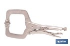 Pinze a scatto con ganasce a forma di C | Non basculanti | Lunghezza: 11” - Cofan