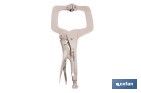 Pinze a scatto con ganasce a forma di C | Non basculanti | Lunghezza: 11” - Cofan