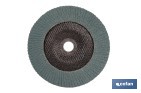 Disco Laminado Profesional Inclinado - Cofan