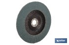 Disco Laminado Profesional Inclinado - Cofan