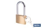 Candado de Latón Arco Largo Quality Plus - Cofan