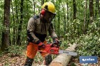 Kit forestal 4 en 1: casco con protección de rostro y oídos. Protección triple certificada. - Cofan