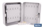 Armario metálico para llaves con cerradura | Incluye 2 llaves y kit de fijación | Disponible para 20, 40, 60 y 80 llaves - Cofan
