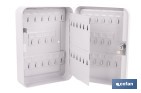 Armario metálico para llaves con cerradura | Incluye 2 llaves y kit de fijación | Disponible para 20, 40, 60 y 80 llaves - Cofan