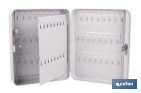 Armario metálico para llaves con cerradura | Incluye 2 llaves y kit de fijación | Disponible para 20, 40, 60 y 80 llaves - Cofan