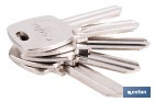 Llave en bruto para cilindros de perfil europeo adecuado para cilindro con leva larga, leva corta y medio cilindro | Acero niquelado - Cofan
