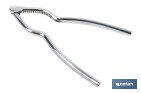 Cascanueces de acero inoxidable | Adecuado para frutos secos | Material: Acero inoxidable AISI 420 | Longitud: 18 cm - Cofan