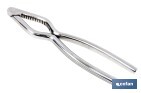 Cascanueces de acero inoxidable | Adecuado para frutos secos | Material: Acero inoxidable AISI 420 | Longitud: 18 cm - Cofan
