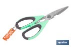 Ciseaux Multi-usages | Fabriqués en Acier Inox. | Modèle Sena | Couleur Vert Clair ou Violet | Longueur 22 cm - Cofan