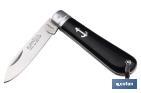 Naval pocket knife | Blade size: 8cm | Pen pocket knife | Stainless-steel blade | Polypropylene handle | Black - Cofan