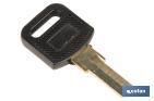 LLAVE EN BRUTO ADECUADA PARA LOS BUZONES COFAN
