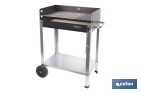 BARBECUES