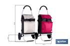 Carro de la compra plegable con 2 ruedas | Chasis de aluminio | Bolsa de 43 litros | Bolsillo para congelados | Disponible en varios colores - Cofan