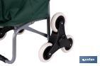 Carro de la compra con 6 ruedas | Diseño plegable | Sube escaleras | Bolsa de 42 litros | Bolsillo para congelados | Disponible en varios colores - Cofan