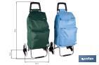 Carro de la compra con 6 ruedas | Diseño plegable | Sube escaleras | Bolsa de 42 litros | Bolsillo para congelados | Disponible en varios colores - Cofan