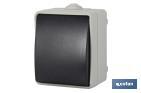 Pulsador Estanco IP54 | Para exteriores | 10 A - 250 V | Color gris - Cofan