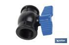Vanne à boisseau sphérique avec filetage F-F PP PN16 | Plusieurs dimensions - Cofan