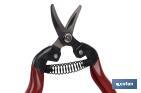 Pruning shears | High quality | Length: 165mm | Curved tip - Cofan