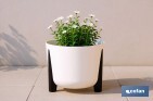 Decorative plant pots with legs | Drain plug included | Available in coffee and cream colours | Different sizes and capacities - Cofan