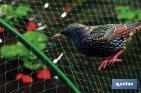 Bird netting | Polyethylene | Protect fruit, plants, vegetables or gardens | Woven polyethylene - Cofan