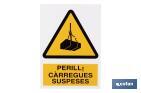 PERILL CARREGUES SUSPESES