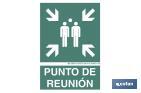 PUNTO DE REUNIÓN PICTOGRAMA + TEXTO