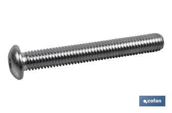 DIN ISO 7380 Classe 10.9 Zingue - Cofan