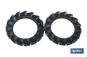 Elastic washers with external teeth - Cofan