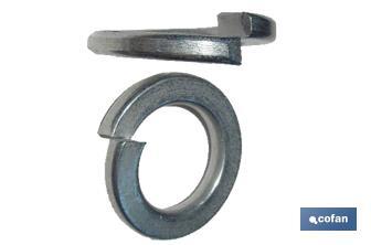 Grower washers, Zinc plated  - Cofan