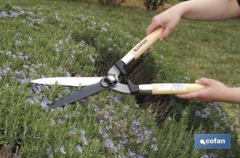 Professional hedge shears | Ergonomic wooden handle | Suitable for gardening and shrubs - Cofan