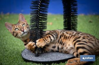 Cat scratcher | Pet care | Arch massager - Cofan