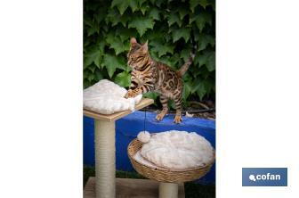 Cat scratcher with toy | Beige | Size: 48 x 39 x 51cm - Cofan