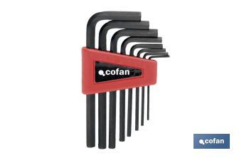 Set of hex keys | 10 pieces | Content: 1.5 - 2 - 2.5 - 3 - 4 - 5 - 5.5 - 7 - 8 - 10 - Cofan